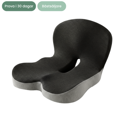 Nordlyne ErgoSeat™ -