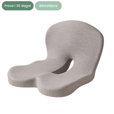 Nordlyne ErgoSeat™ -