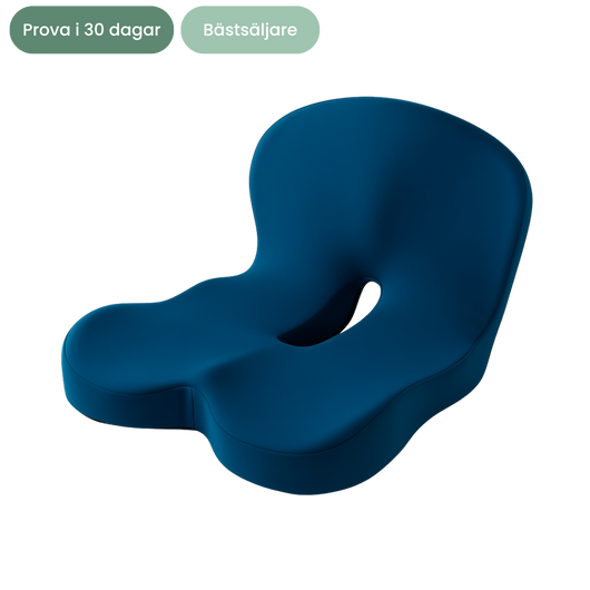 Nordlyne ErgoSeat™ -