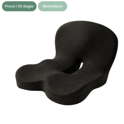 Nordlyne ErgoSeat™ -