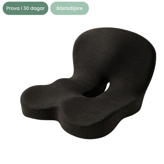 Nordlyne ErgoSeat™ -