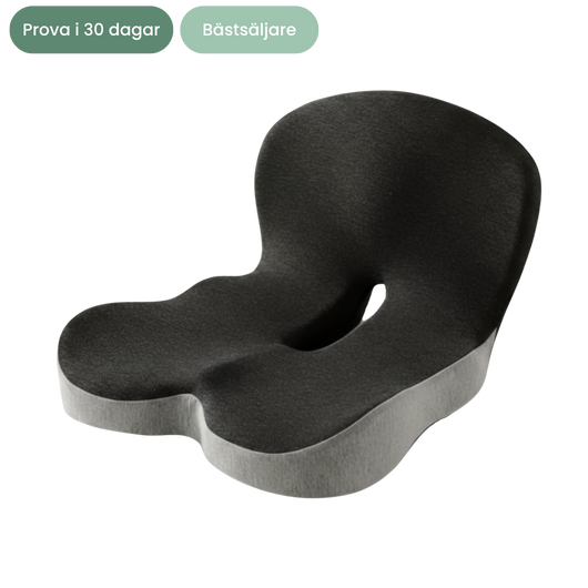 Nordlyne ErgoSeat™ -